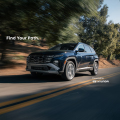 ilan Bluestone - Artist Commentary