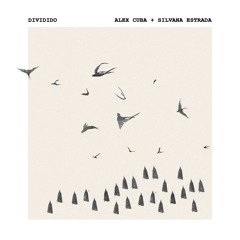 Dividido (feat. Silvana Estrada)