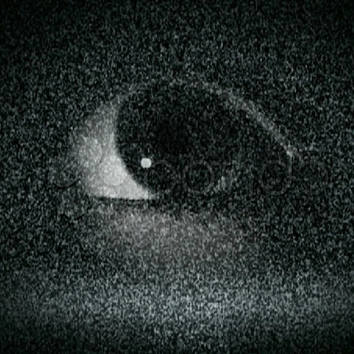 B.O.P p.kapi x eliyf x thankswwr