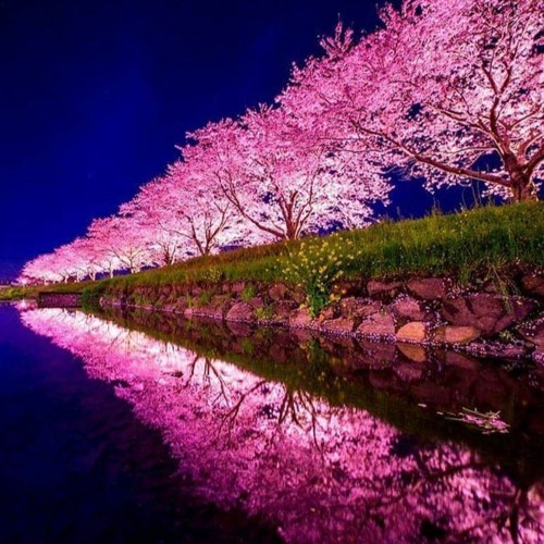 Rétro Zouk Juin 2020 By Lin - Lin