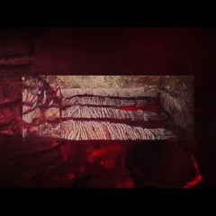 wełł never (prod me) #therealkaotic
