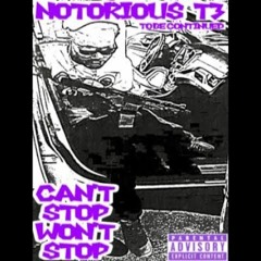 Notorious T3 - Facts (Official Audio)