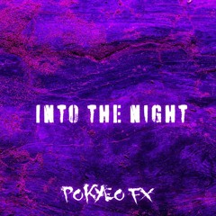 Pokyeo FX - Into The Night