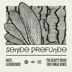 LTR Premiere: GRIFE & Albuquerque - The Beauty Inside (Erdi Irmak Remix) [Sonido Profundo]