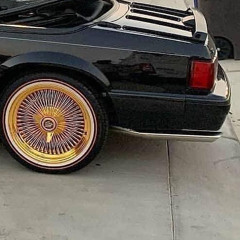 AM Interlude[REVERSED]