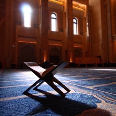 سورة نوح للقارئ/ محمد علاء القطان