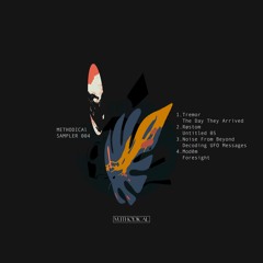 Methodical Sampler 004 / Tremor, Rostøm, Noise From Beyond, Modēm