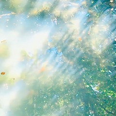 dewdrops_chapter404