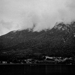 Aspen Forest - Alone