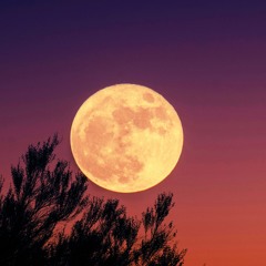 Liquid Drum and Bass Session | Full Moon | 082