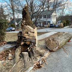 WBAL News Now in Depth Steve Singh, VP Electrical Operations BGE