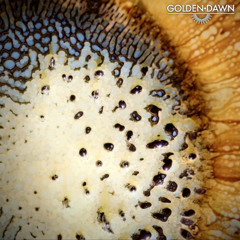Golden Dawn