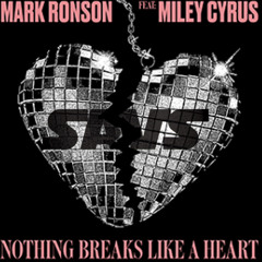 Nothing Breaks Like A Heart (SAVS Edit)