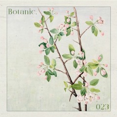 Botanic Podcast - 023 - Priku