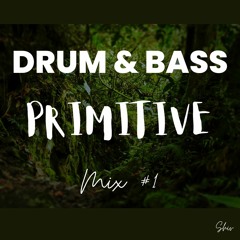 PRIMITIVE // VOL. 1