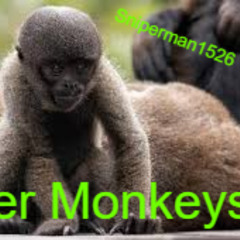 Summer Monkeys