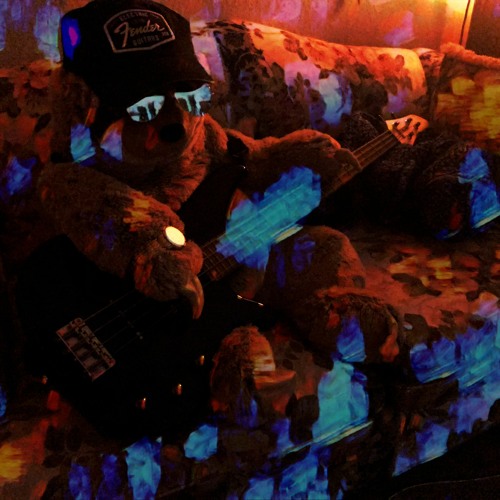 Watching The Collapse