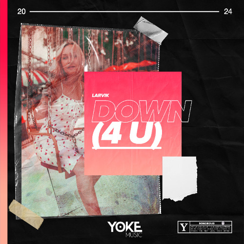 Larvik - Down (4U)