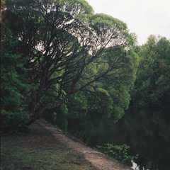 eaux nocturne