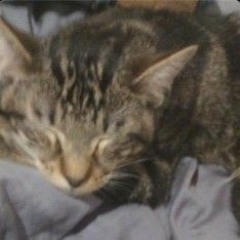 what cures my pain part 2