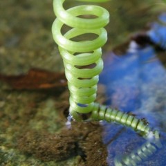 Denver Ecstatic Dance - Sunday April 28, 2024