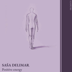 Saša Delimar - Positive Energy [Fragments]
