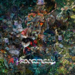 WEIRD DREAMR
