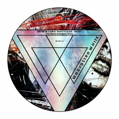 [WHW161] PSTW, Chris Whittaker - Heist Incl. Martin Etchegaray Remix