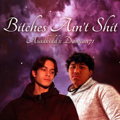 Bitches Ain't Shit [feat. @_71problemzzz] (REMIX)