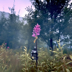 sunaïra ::: healing ::: black knight (24) . . . . . ╰──╮*:･ﾟ✧*:･ﾟ✧.*╭──╯ . . . . .