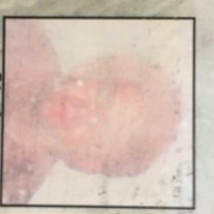 PCPETE - And The Trees