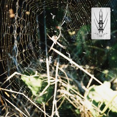 Florian Kupfer - Severed Lines Of Communication [Urban Legend]