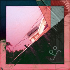 Hakea [POY002]