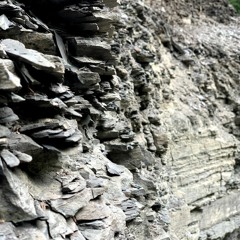 One in Eight (Thinkspace Brief)