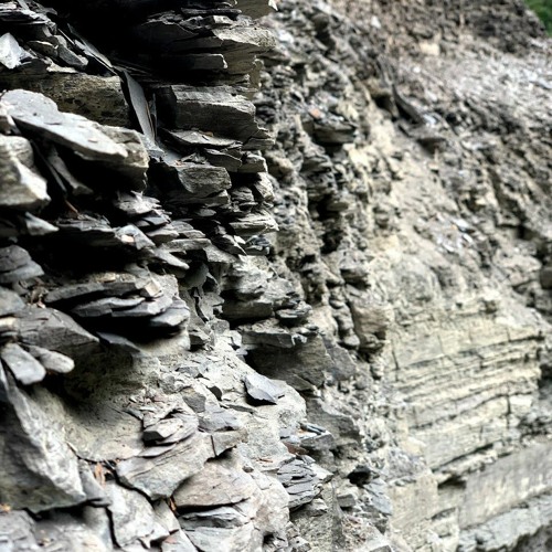 One in Eight (Thinkspace Brief)