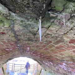 DM567 EPISODE 1 #500 Greatest Albums of All Time #Endoftheworld #Apocalypse #The Last Podcast - 09_08_2025, 21.43 1