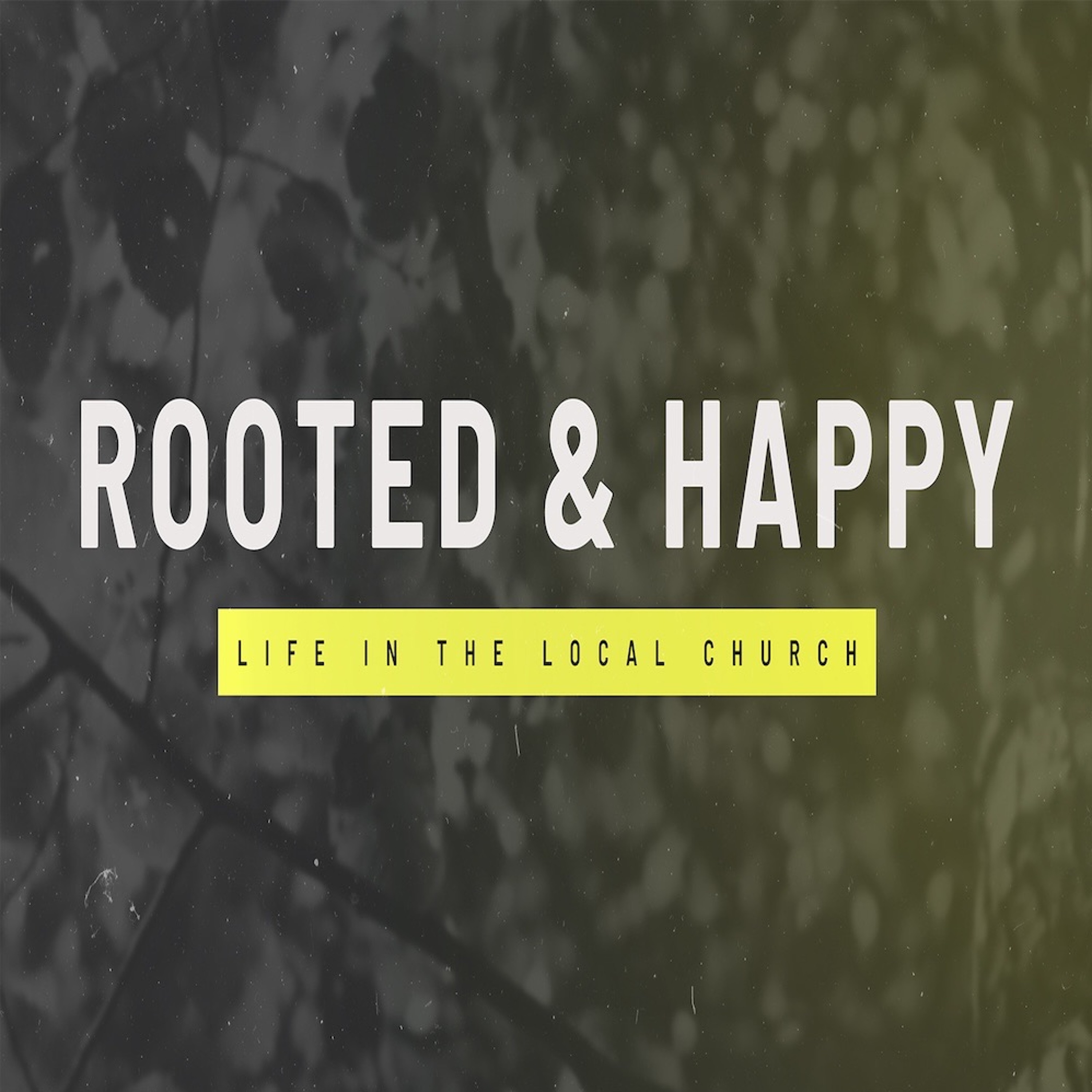 Hope Church Utah - Rooted And Happy - Slaves Made Free - August 25, 2024 episode artwork