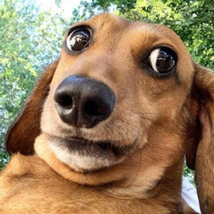 *+~Beat I made by myself~+*   (I was Bored)