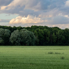 Echoes of Serenity