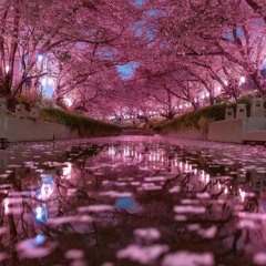 cherry blossom kisses [{prod. eug3ne}]