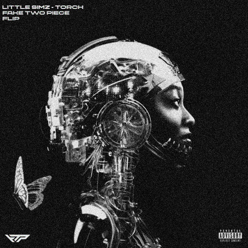 Little Simz - Torch [Fake Two Piece Flip] FREE DOWNLOAD