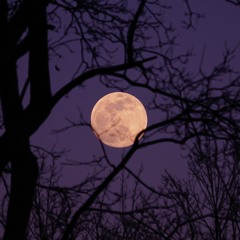 Tilted moon
