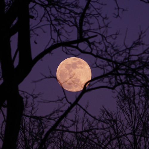 Tilted moon