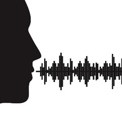 2025-11-28 GTBuddha  Gerrit ten Bruggencate  the vioce   dj GTBuddha Amsterdam version  one  vs rick  Silva and south 73