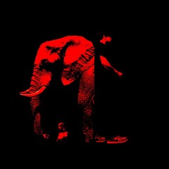 ZOOFARAWAY