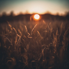 Tessien - Sundown