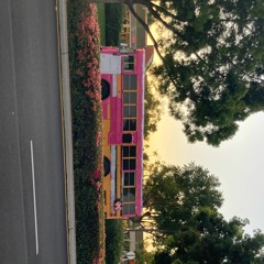 jansport music. ,prod.🌸flowers🌸 in narnia,