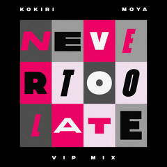 Never Too Late (VIP Mix)