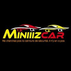 Miniiizcar Label - Artiste n°0002 : titoon. - Brume D T