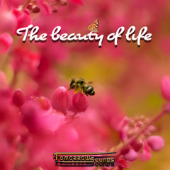 The beauty of life